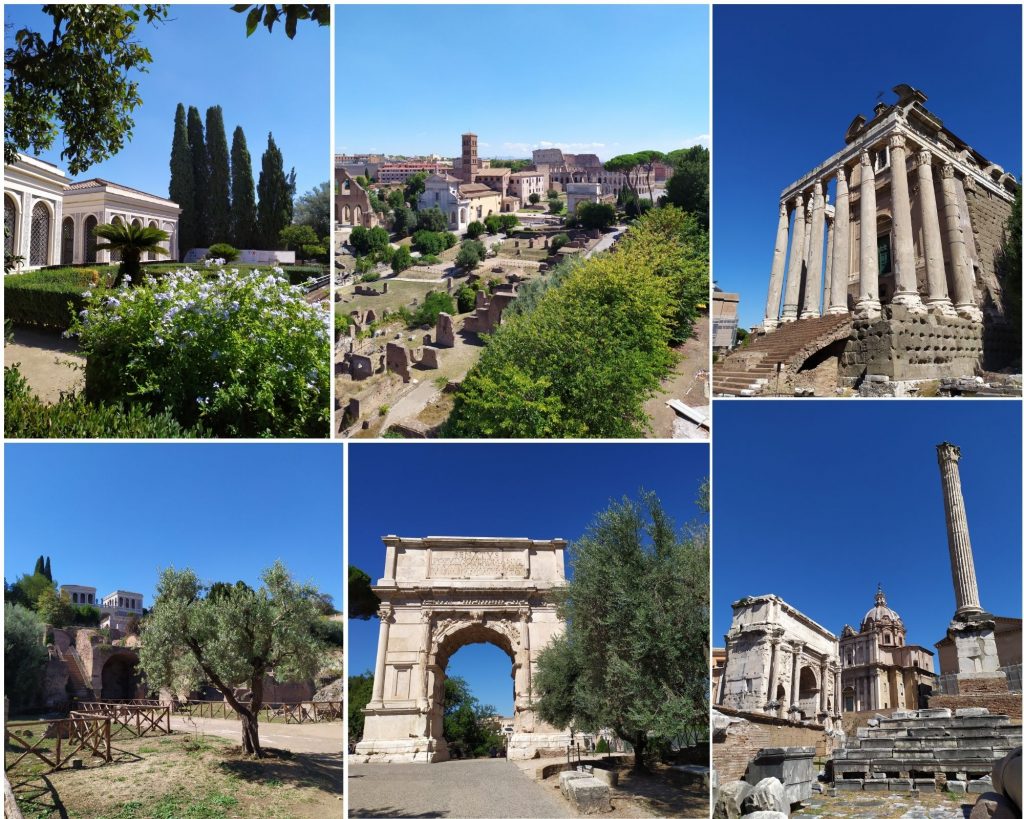 Le Forum Romain et le Mont Pallatin à Rome
